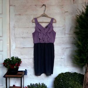 Mossimo Purple Dress• Large 